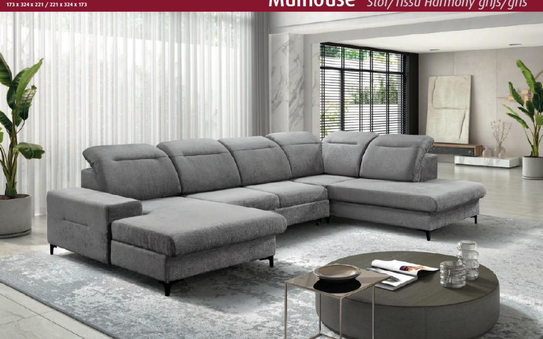 SALON » MULHOUSE «